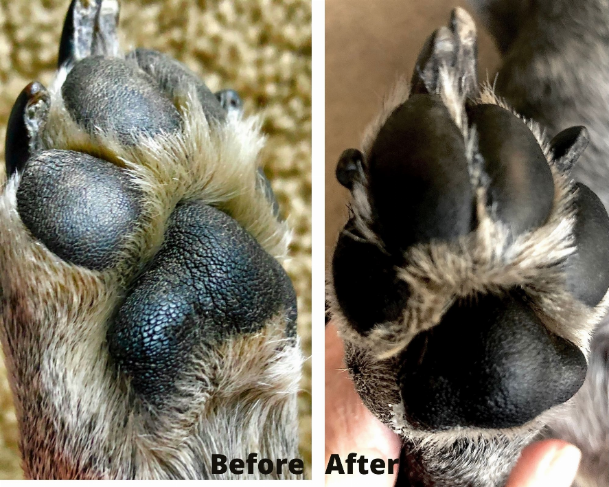 PawPurity Healing Paw Conditioner cornerstone variety